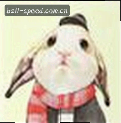 刘洋